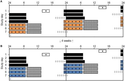 Blue-Enriched White Light Improves Performance but Not Subjective Alertness and Circadian Adaptation During Three Consecutive Simulated Night Shifts